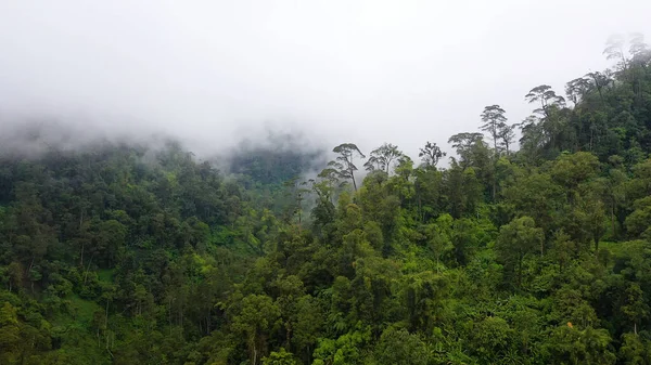 Montagnes avec forêt tropicale et nuages. Philippines, Mindanao — Photo
