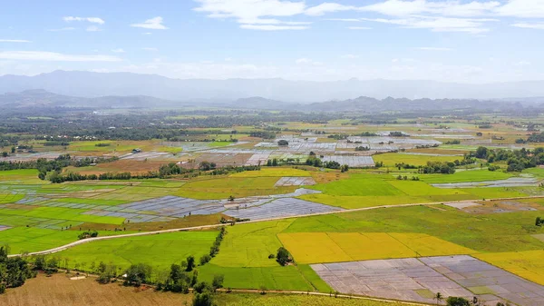 Tierras agrícolas en Filipinas. — Foto de Stock