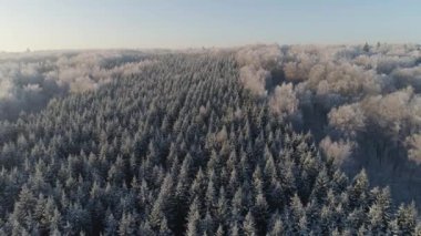 Kırsal kesimde kış manzarası