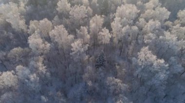 Kırsal kesimde kış manzarası