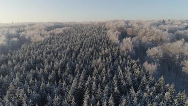 Paisaje invernal en el campo — Vídeo de stock