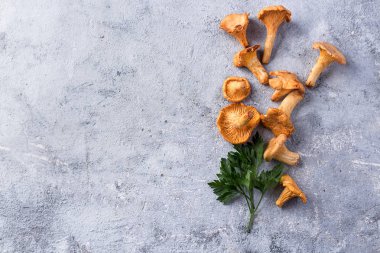 El Cantharellus cibarius mantar maydanoz ve bıçak ile aldım. Üstten görünüm. Kopya alanı