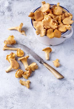 El Cantharellus cibarius mantar bıçakla aldım. Üstten görünüm
