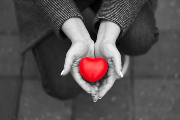 Black and white photo of woman holding on palms red heart staying on the knees. Declaration of love or Charity concept. — Stock Photo, Image