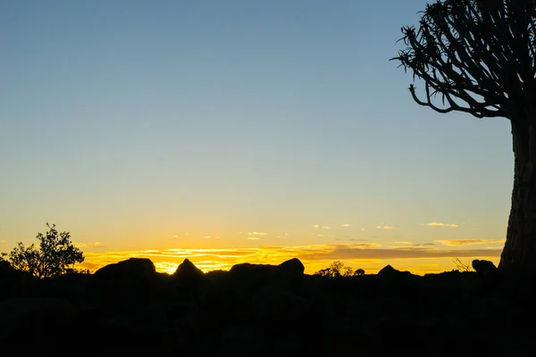 Silhouette Carcaj Tree Landscape Sunset Keetmanshoop Namibia —  Fotos de Stock