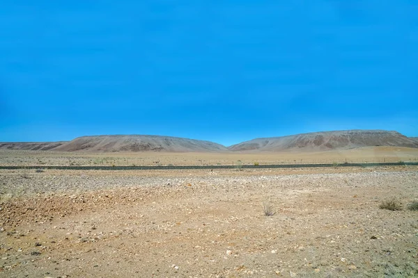 Oryx Correndo Paralelo Estrada Distância Paddock Namíbia Ampla Paisagem Deserto — Fotografia de Stock