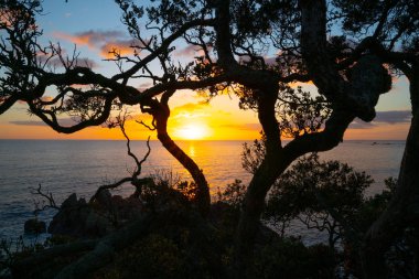 Mount Maunganui dan Pasifik gündoğumu.