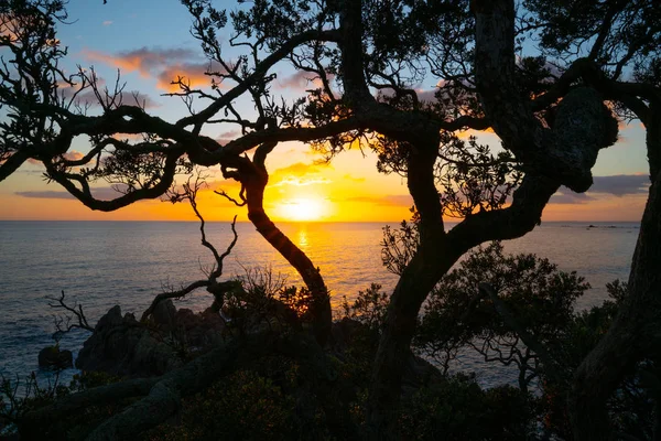 Mount Maunganui dan Pasifik gündoğumu.
