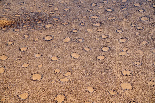 Aerial fairy circles area with animal tracks  in landscape from tourist helicopter flight over dunes and surrounding Sossusvlei Namibia.