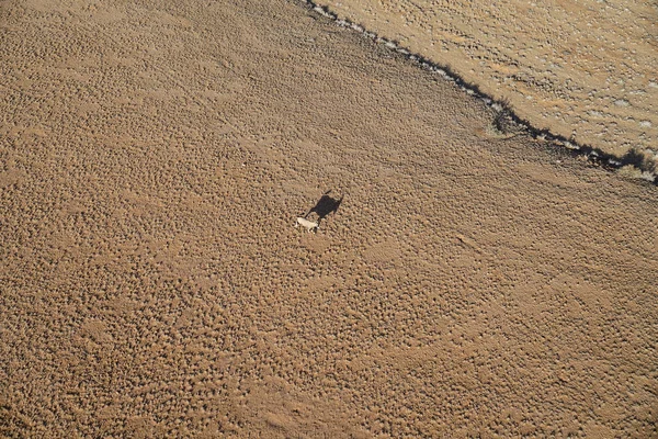 Oryx geniş peyzaj Turizm helikopter uçuş Sossusvlei Namibya Hava görüntüden gölgesinde çevirir.