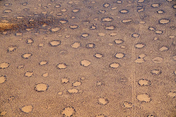 Zona Círculos Aéreos Hadas Con Huellas Animales Paisaje Desde Vuelo — Foto de stock gratuita