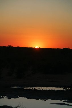 Yoğun günbatımı gökyüzü renkleri kırmızı ve altın Afrika siluet peyzaj üzerinde.