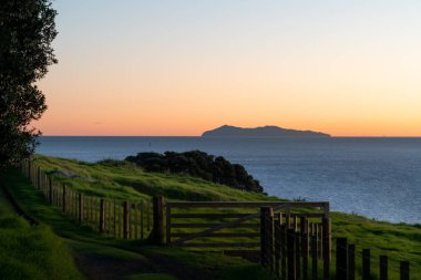 Pasifik gündoğumu Denizi'ni aracılığıyla siluet pohutukawa ağaçların üzerinden temel Mount Maunganui, Yeni Zelanda.