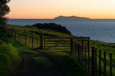 Pasifik gündoğumu Denizi'ni aracılığıyla siluet pohutukawa ağaçların üzerinden temel Mount Maunganui, Yeni Zelanda.