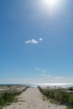 Kum yol Surfer's Paradise beach ve sunflare dikey kompozisyon