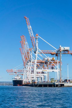 Tauranga, Yeni Zelanda - 30 Temmuz 2018; Tauranga kükürt bağlantı noktası konteyner iskelelerde havaya doğru ulaşan büyük beyaz ve turuncu vinçler ile.