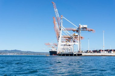 Tauranga, Yeni Zelanda - 30 Temmuz 2018; Tauranga kükürt bağlantı noktası konteyner iskelelerde havaya doğru ulaşan büyük beyaz ve turuncu vinçler ile.