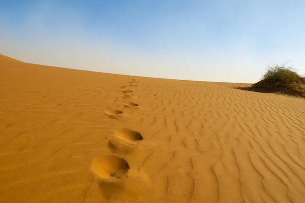 Footsepts Leading Sossusvlei Dunes Dead Vlei Orange Dunes — Stok Foto