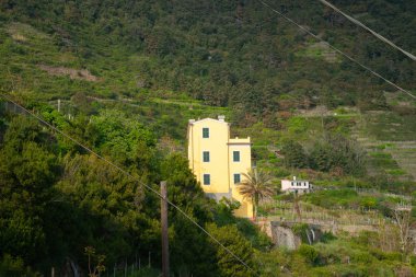 Arka plan yeşil teras bahçeleri ve hillside ağaçta karşı parlak sarı binanın göze çarpıyor.