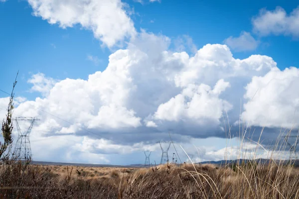 Wüstenstraße Nordinsel Landschaft Mit Stromübertragungsmasten Überqueren Land Unter Bewölktem Himmel — Stockfoto