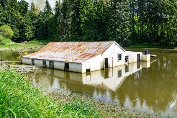 Bâtiment Agricole Inondé Entouré Eau Après Pluie — Photo