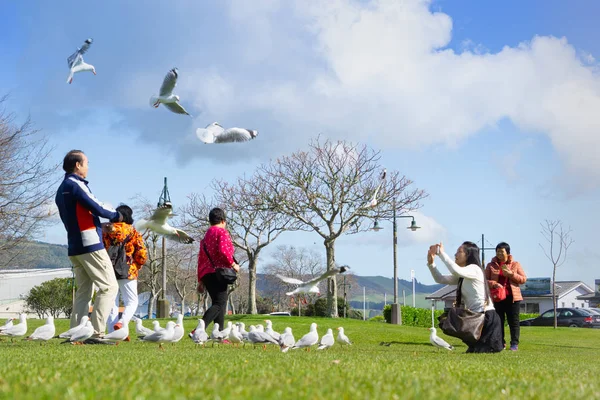 Rotorua New Zealand September 2018 Asian Tourists Lake Rotorua Feeding — Stock Photo, Image