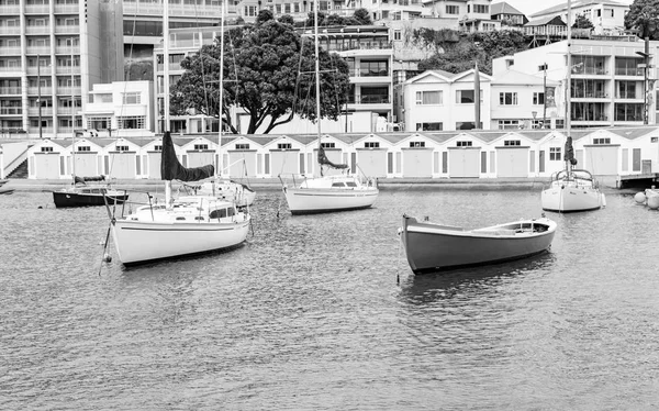 Wellington New Zealand October 2018 Wellington Oriental Bay Boatsheds Monochrome — Stock Photo, Image
