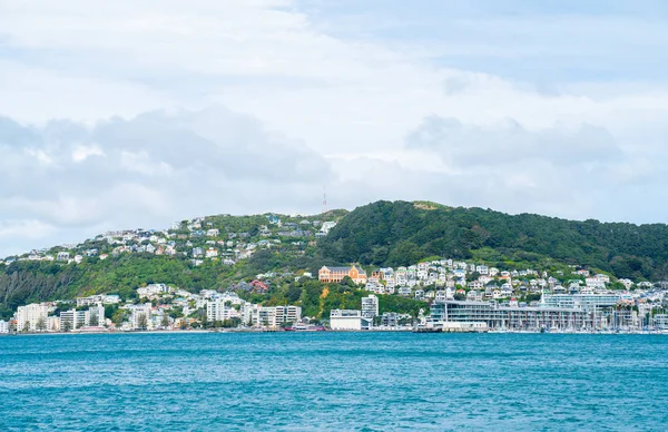 Blick Über Den Hafen Von Wellington Auf Häuser Und Gebäude — Stockfoto