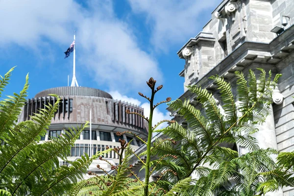 New Zealand Government buildings, House neo-classical style House of Parliament with Beehive behind with iconic ponga fern frond one of NZ\'s emblems.