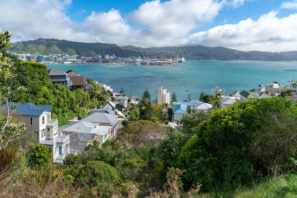 Vue Sur Mont Victoria Maisons — Photo