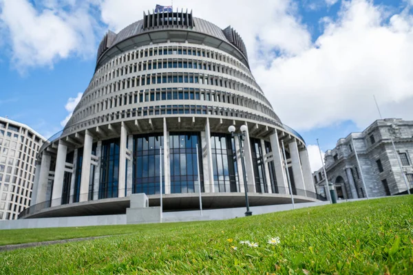Edifícios Governo Nova Zelândia Com Foco Algumas Margaridas Gramado Verde — Fotografia de Stock
