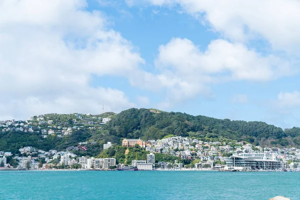 Svahu Domy Baleno Blízko Sebe Straně Mount Victoria Wellington — Stock fotografie