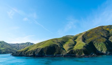 Kraliçe Charlotte ses South Island Yeni Zelanda Marlborough sesleri girme