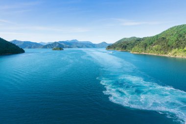 Turkuaz su ile yıkama Picton Kraliçe Charlotte ses için yemyeşil yerli bush, South Island, Yeni Zelanda ile gelen yolcu gemisi tarafından yaratılmıştır.