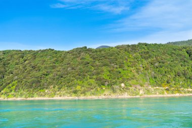 Kraliçe Charlotte ses Marlborough sesleri South Island Yeni Zelanda tarafındaki tepe yakalar parlak güneşin yerel bush Bush kaplı kaplı.
