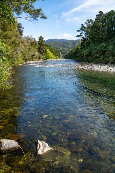 Malerische Anatoki Fluss Und Busch Umgibt Vertikale Komposition — Stockfoto