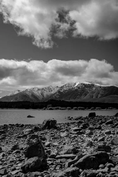 Monochrome rocky Ruataniwha Inlet foreshore at low tide — Stock Photo, Image