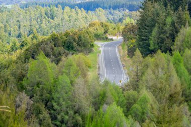 Otoyol rüzgarlar doğal tepeleri yol kenarına South Island Yeni Zelanda Yerel ormandaki kaplı aracılığıyla