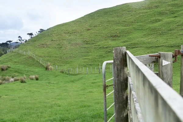 Rolling New Zealand farmland with batten and wire fence running from gate.