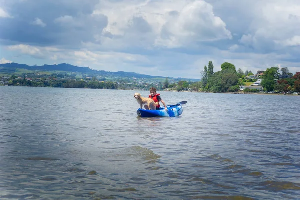 Niño Bajo Cielo Pesado Kayak Azul Blanco Puerto Con Perro —  Fotos de Stock