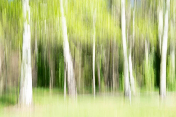 Natur Abstrakt Bakgrund Våren Färger Vertikal Suddar Lätta Ljusa Vårfärger — Stockfoto