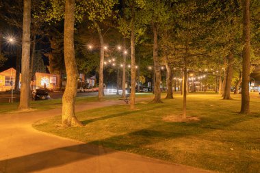 Hanmer Springs, Yeni Zelanda - 8 Ekim 2018; ağaç Amuri Avenne spa turist kasabasında sokak ışıkları tarafından aydınlatılmış binalar üzerinde reklam işaretleri ile kaplı.