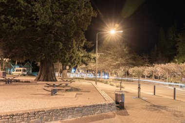 Hanmer Springs, Yeni Zelanda - 8 Ekim 2018; ağaç Amuri Avenne spa turist kasabasında sokak ışıkları tarafından aydınlatılmış binalar üzerinde reklam işaretleri ile kaplı.