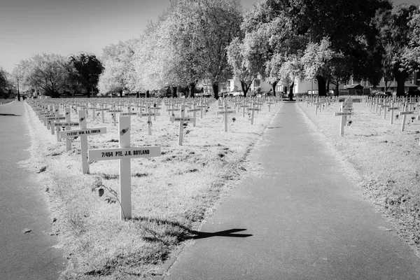 Christchurch Yeni Zelanda Ekim 2018 Alan Siyah Beyaz Hatıra Haçlar — Stok fotoğraf