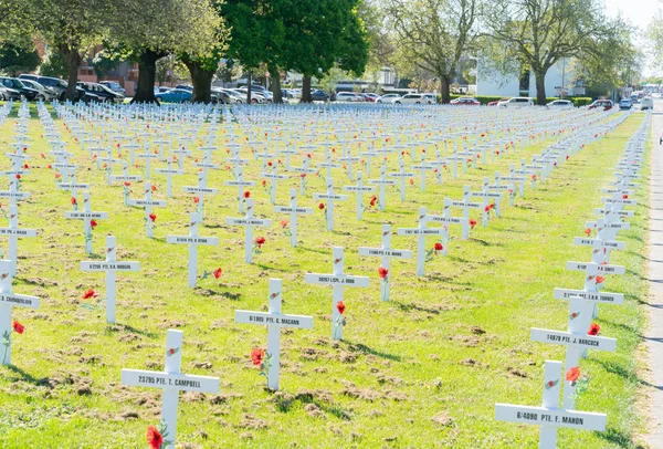 新西兰克赖斯特彻奇 2018年10月9日 在克兰默广场与红色罂粟的白色纪念十字架领域 — 图库照片