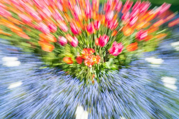 Bright Floral Impressionist Abstract Zoom Blur Spring Time Garden Color — Stock Photo, Image