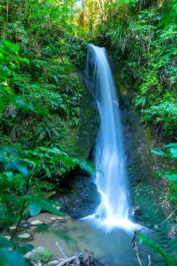 Mc Laren Falls Park uzun pozlama şelale efekti düzeltti