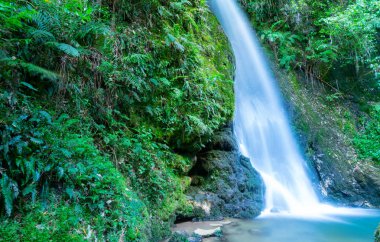 Mc Laren Falls Park uzun pozlama şelale efekti düzeltti