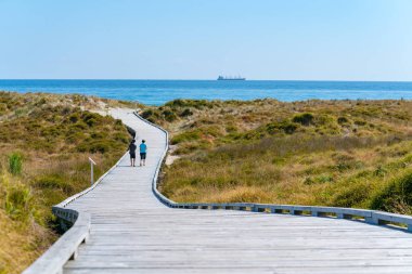Papamoa winding walkway through sand dunes and outllok to horizon with two peopleTauranga New Zealand clipart
