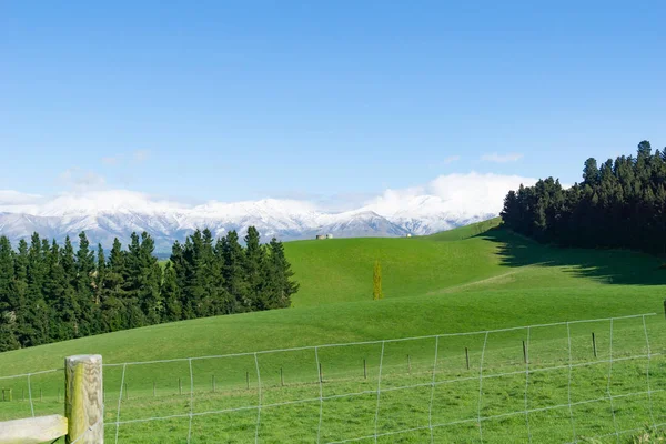 Typical South Island Landscape Green Rolling Fields Hurricane Wire Fence — Stock Photo, Image